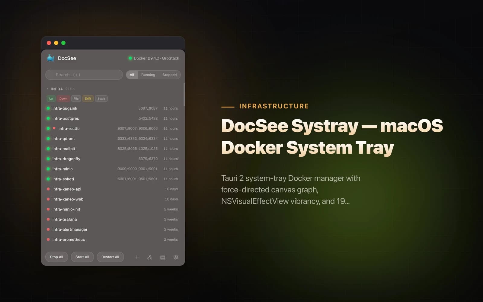 DocSee Systray — macOS Docker System Tray preview